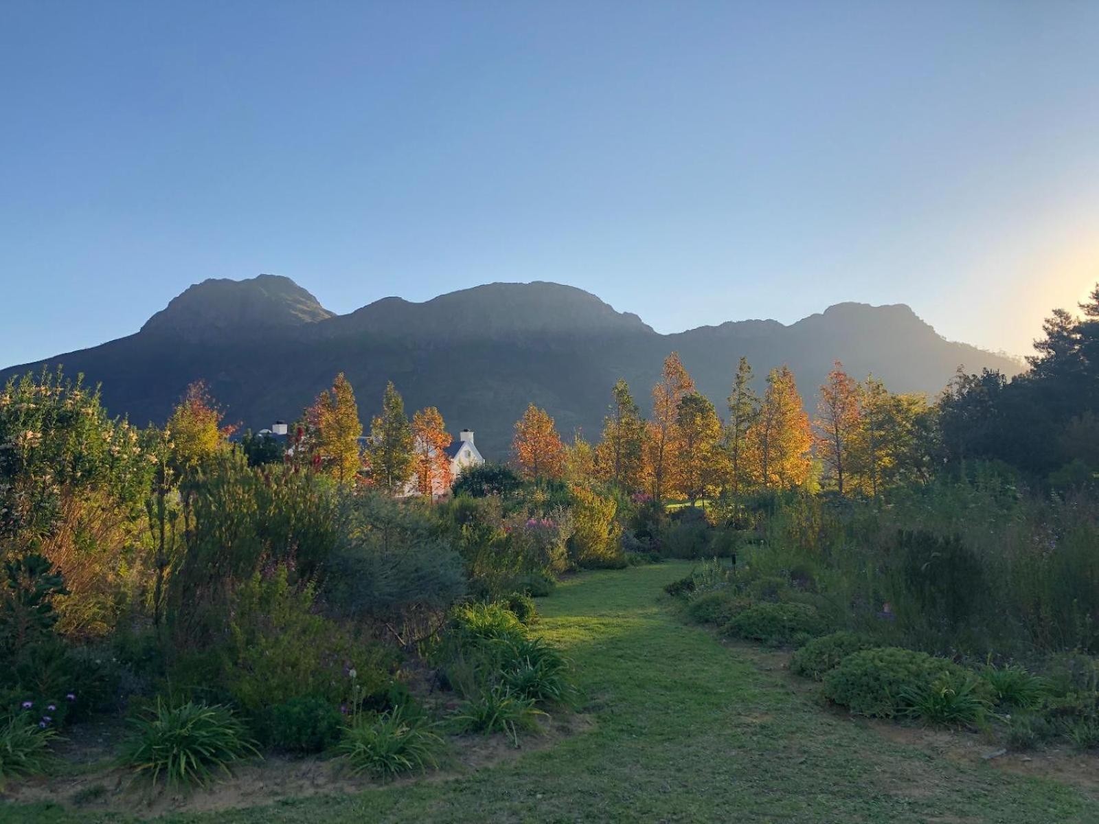 Chambray Estate - The Terraces In The Vines Bed & Breakfast Franschhoek Exterior photo