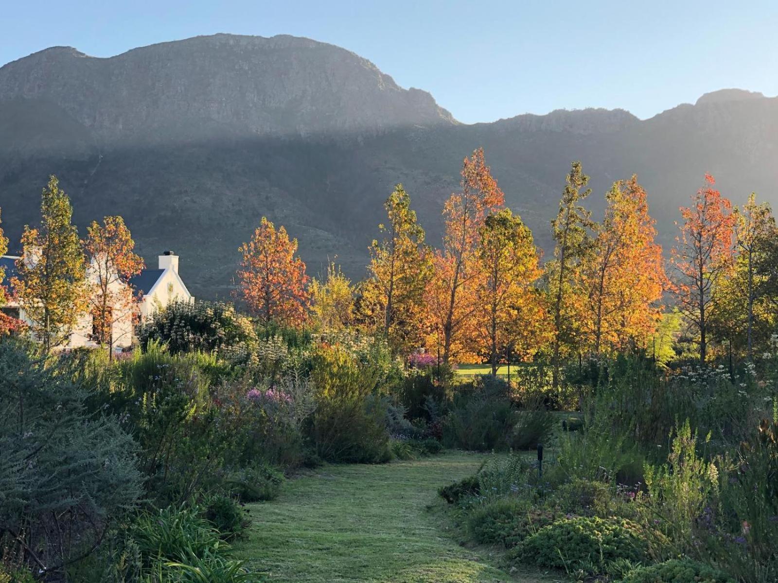 Chambray Estate - The Terraces In The Vines Bed & Breakfast Franschhoek Exterior photo