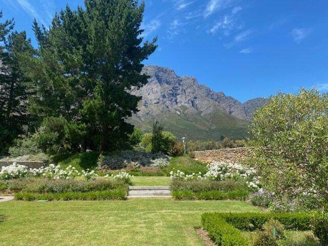 Chambray Estate - The Terraces In The Vines Bed & Breakfast Franschhoek Exterior photo